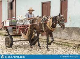 Karyawan dan Pekerja Itu Adalah Kuda Yang Dipacu Oleh Perusahaan Untuk Menghasilkan Laba Dan Keuntungan – Bukan Aset Ya&nbsp;!